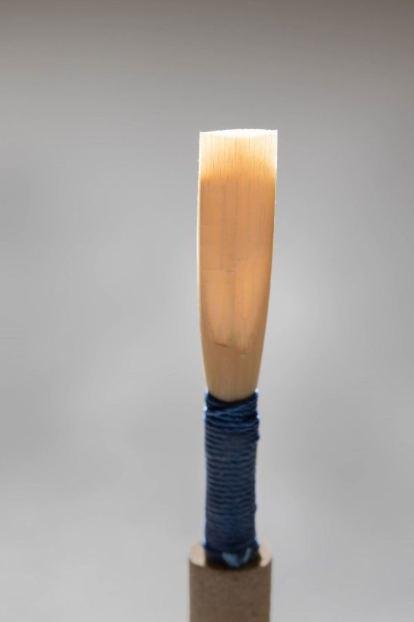 Oboe Reeds - Blue Professional Edmund Nielsen Woodwinds Store