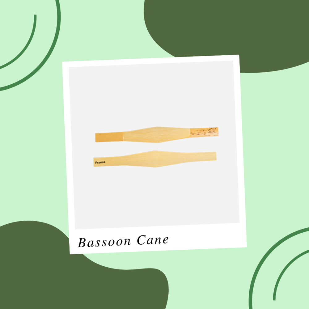 Bassoon Cane